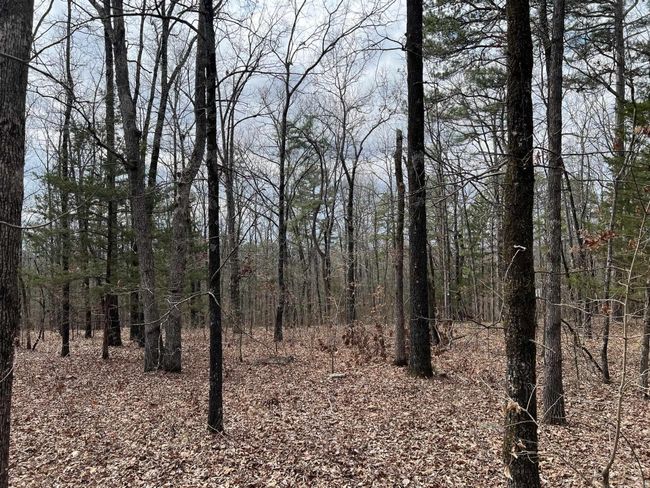 00 Yates Ln, Home with 0 bedrooms, 0 bathrooms and null parking in Tumbling Shoals AR | Image 20
