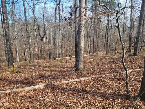 Lot 141 Amaryllis Dr, Sparta, GA, 31087 | Card Image