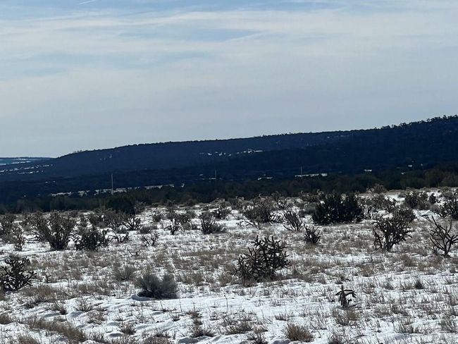 28 Turkey Ridge Rd, Home with 0 bedrooms, 0 bathrooms and null parking in Walsenburg CO | Image 4