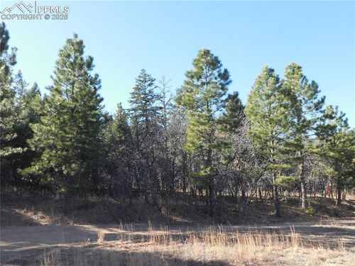 6294 Troon Ct, Larkspur, CO, 80118 | Card Image