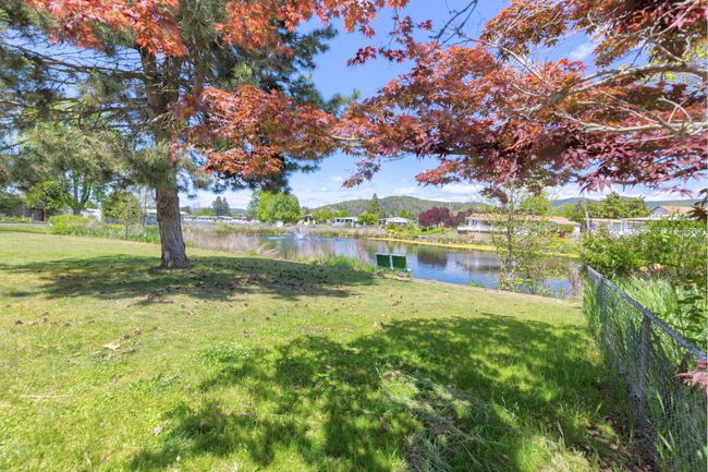 view from backyard | Image 24