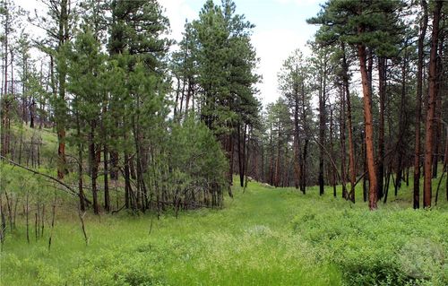 tbd Deer Lane, Roundup, MT, 59072 | Card Image