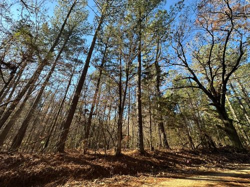 LOT 7 Saggus Rd, Washington, GA, 30673 | Card Image