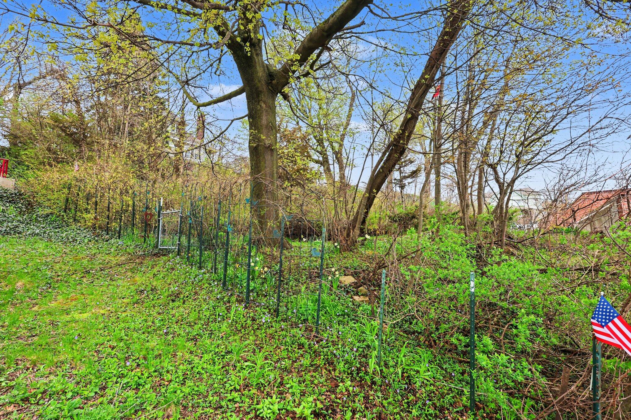 Land in South Haven 2