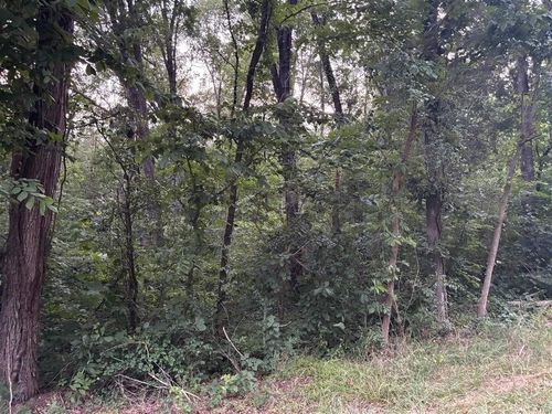 Lot 4 Pig Road, Smiths Grove, KY, 42171 | Card Image
