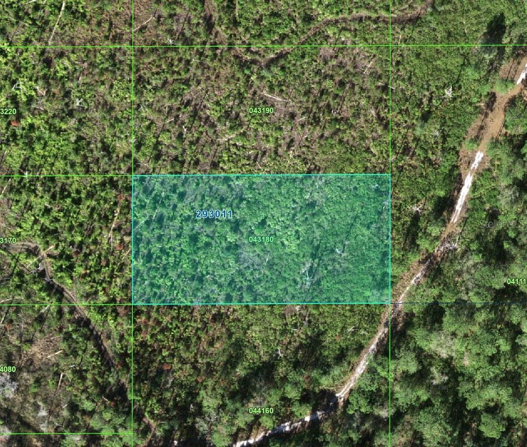 Land in LAKE WALES