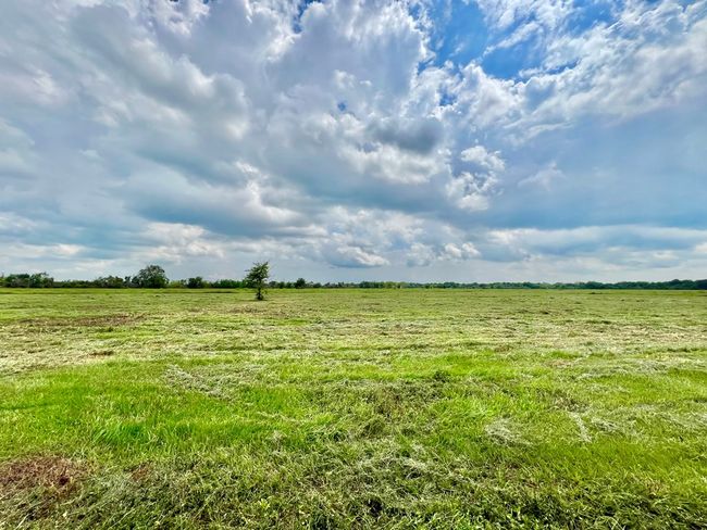 00 Apache Trl, Home with 0 bedrooms, 0 bathrooms and null parking in Angleton TX | Image 11