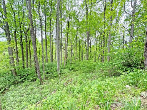 TBD Caldwell Mountain Rd, Hot Springs, NC, 28743 | Card Image