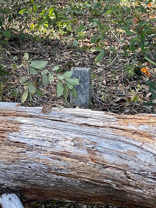 596 Mariner Cir, ALLIGATOR POINT, FL, 32346-5120 | Card Image