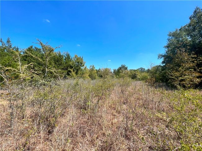 View of undeveloped land | Image 5