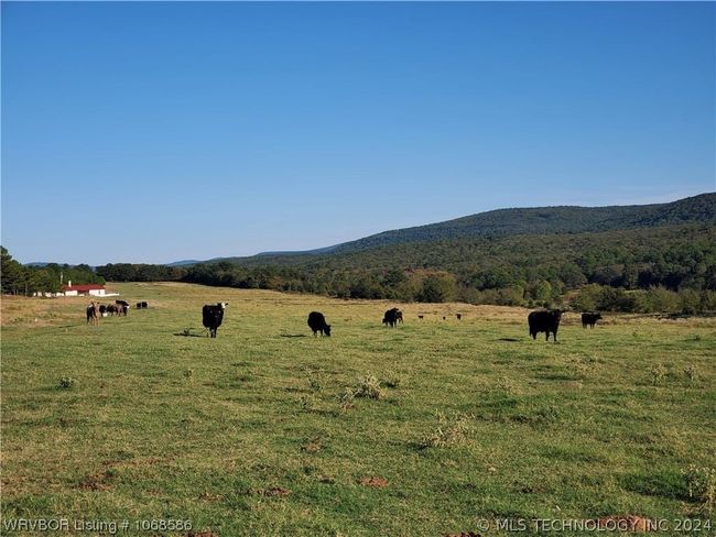40079 E County Road 1315, House other with 3 bedrooms, 4 bathrooms and null parking in McCurtain OK | Image 38