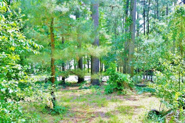 695 Lake Shore Dr, Home with 0 bedrooms, 0 bathrooms and null parking in Coldspring TX | Image 18