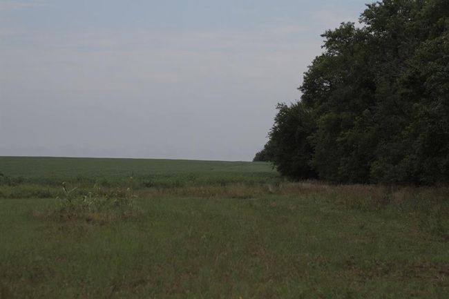 000 125 Th St, Home with 0 bedrooms, 0 bathrooms and null parking in Redfield KS | Image 8