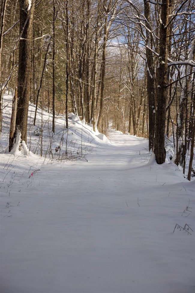 5000 Route 106, Home with 0 bedrooms, 0 bathrooms and null parking in Reading VT | Image 13