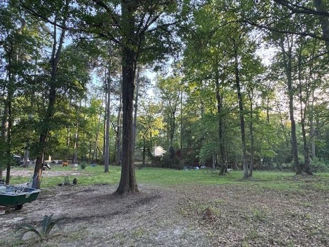 376 Nueces Dr, Home with 0 bedrooms, 0 bathrooms and null parking in Trinity TX | Image 4