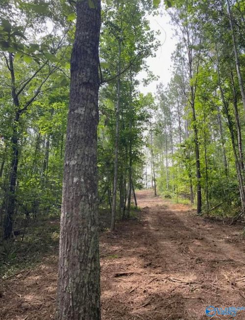 10 Acres Mountain Drive, Remlap, AL, 35133 | Card Image