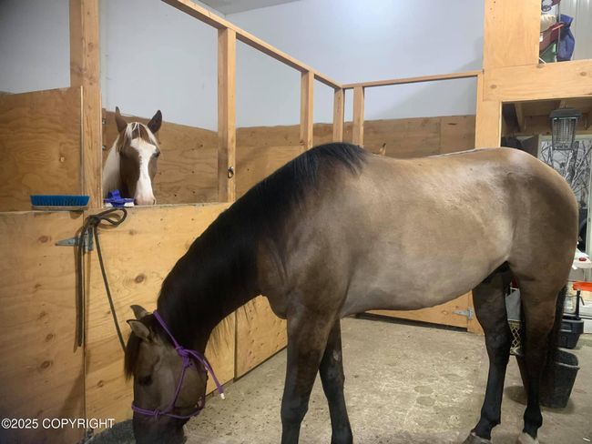 Heated stables | Image 59