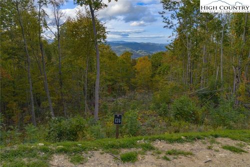 124 Tower Oaks Trail, Elk Park, NC, 28622 | Card Image
