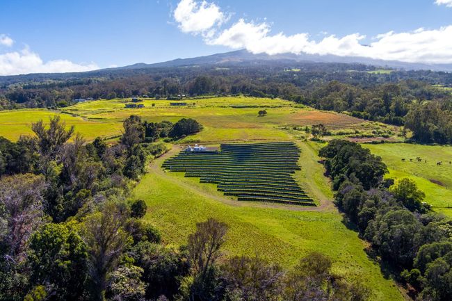 186 Piiholo Rd, Home with 0 bedrooms, 0 bathrooms and null parking in Makawao HI | Image 5