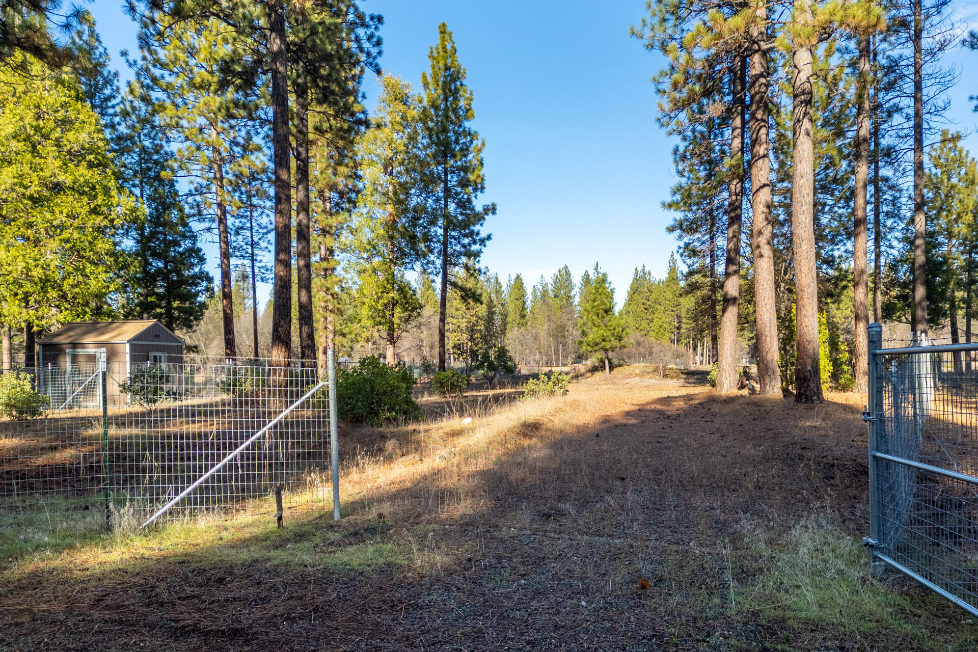 Land in Burney 5