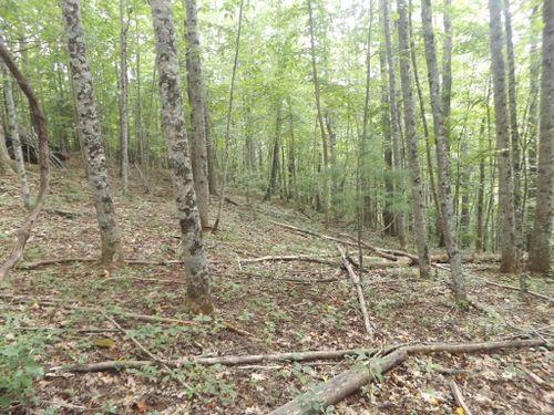 TBD Kanawha Ridge, Dugspur, VA, 24325 | Card Image