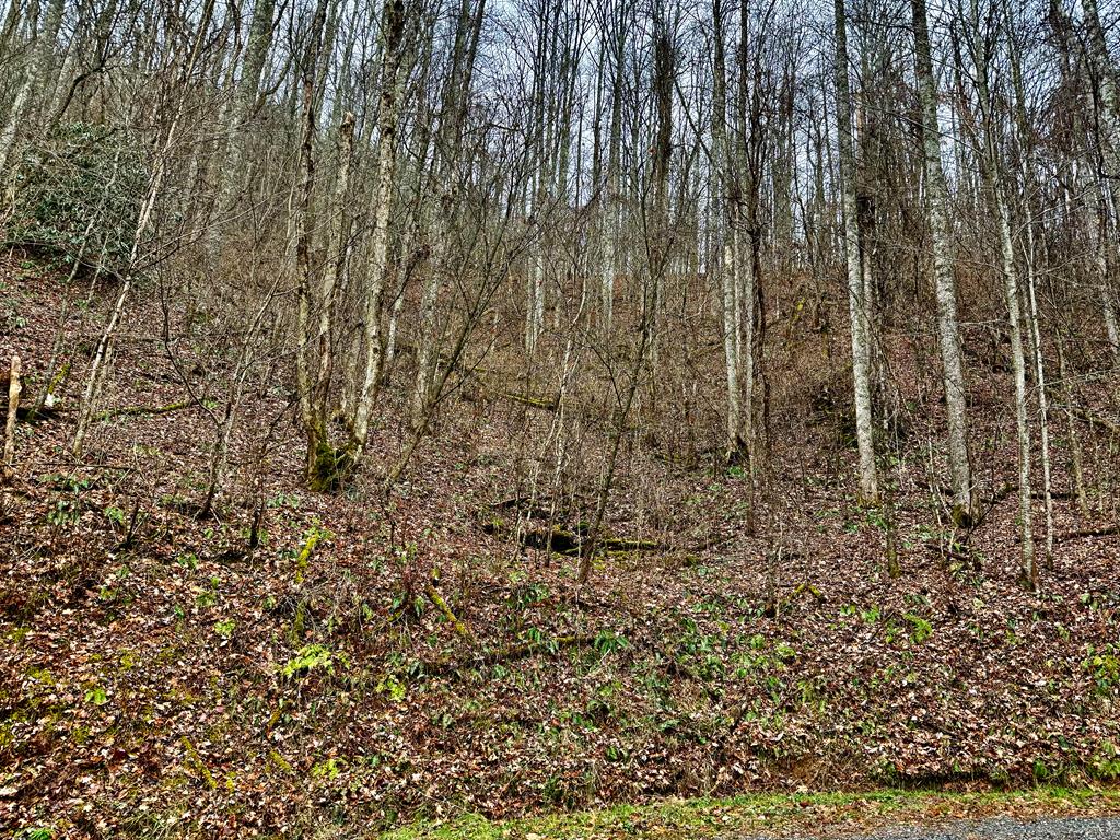 Land in Whittier 3
