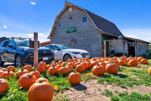 236 Sebago Lake Rd, Gorham, ME, 04038-2345 | Card Image