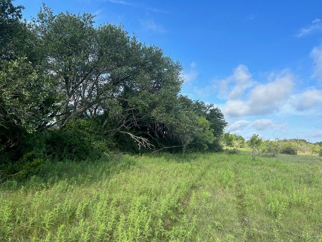 West Fence Line of 20+- Acres | Image 5