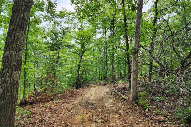 TRACT-3 - 0 Back Run Rd, Home with 0 bedrooms, 0 bathrooms and null parking in Philo OH | Image 31