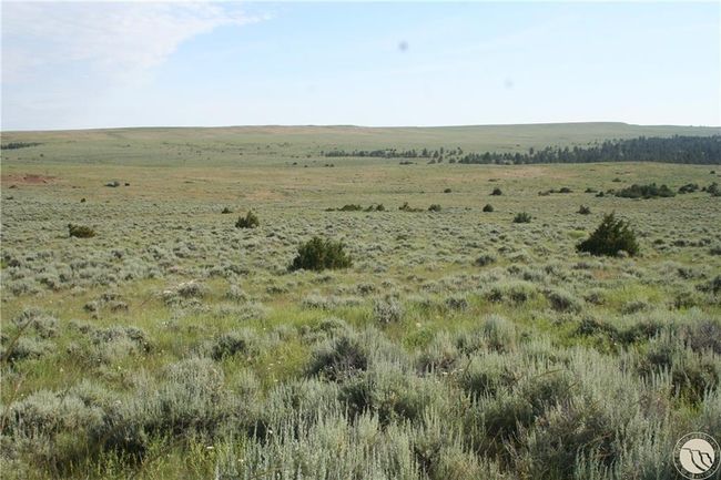 Lot 74 High Pines Blf, Home with 0 bedrooms, 0 bathrooms and null parking in Columbus MT | Image 12