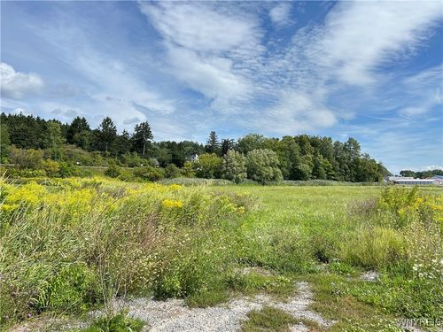 0 Alexander Rd, Alexander, NY, 14005 | Card Image