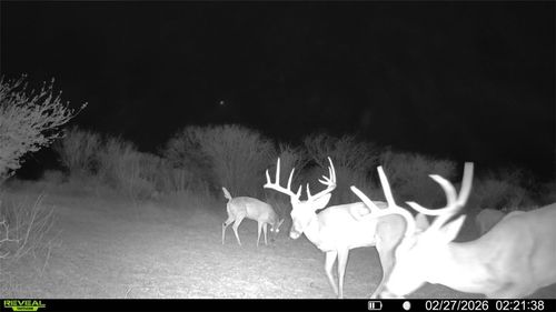 0 County Road 119, Alice, TX, 78332 | Card Image