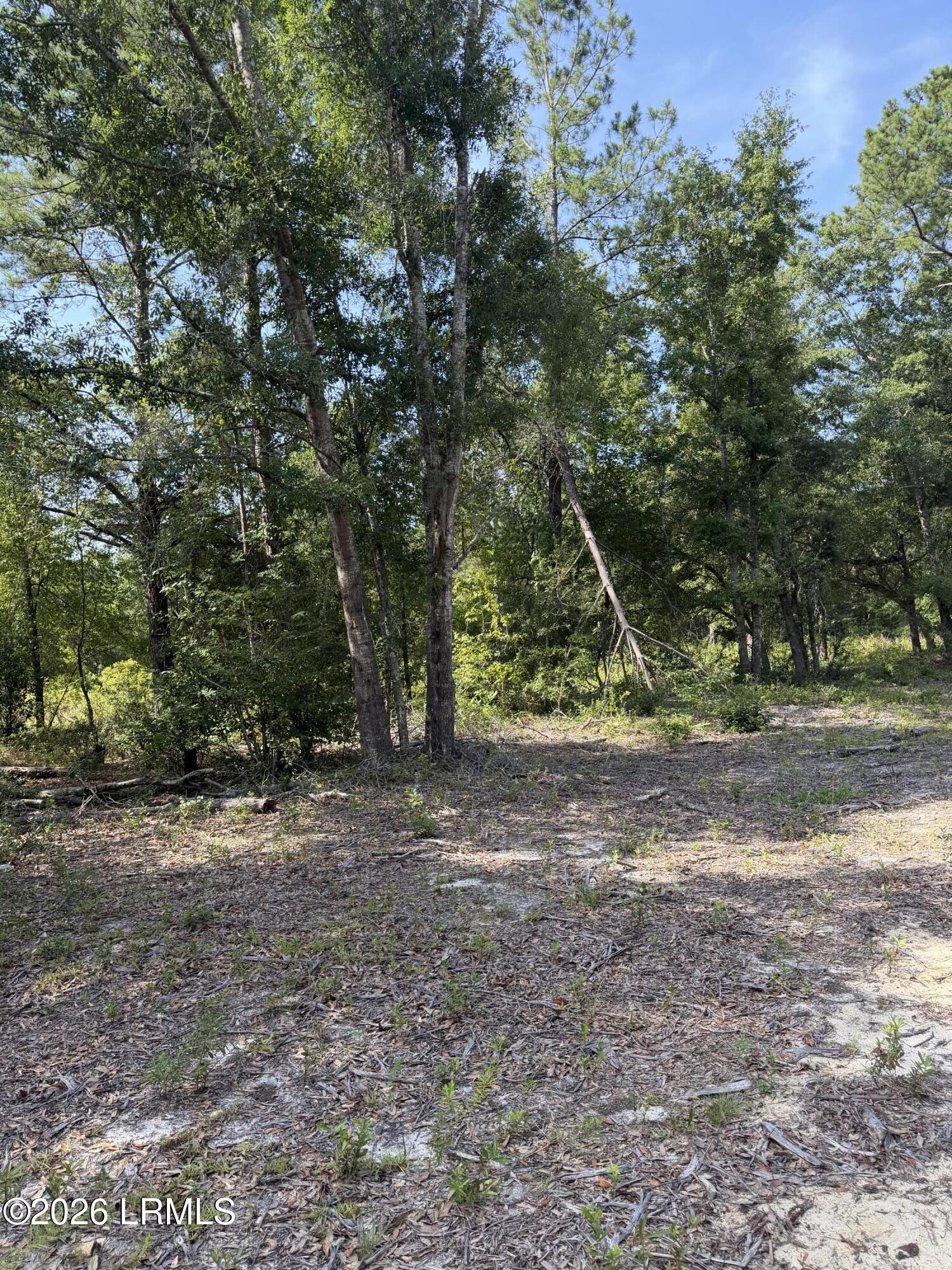 Land in Ridgeland 3
