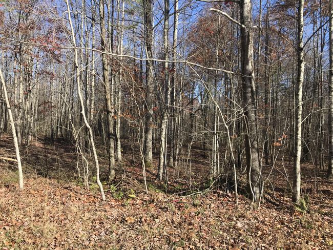 6 Hobbstown Rd, Home with 0 bedrooms, 0 bathrooms and null parking in Dunlap TN | Image 22