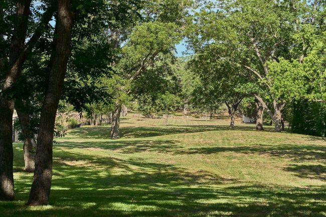 View of community featuring a lawn | Image 18