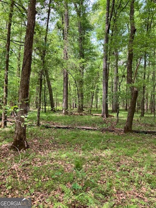 310 Philomath Woodville Rd, Rayle, GA, 30660 | Card Image