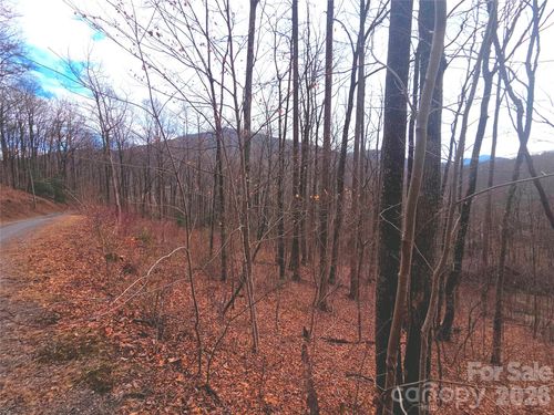 31-900 Fern Trl, Waynesville, NC, 28786 | Card Image