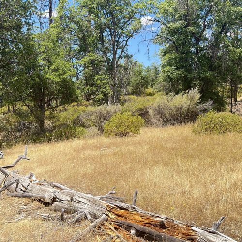 200 Creek Crossing Rd, Hayfork, CA, 96041 | Card Image