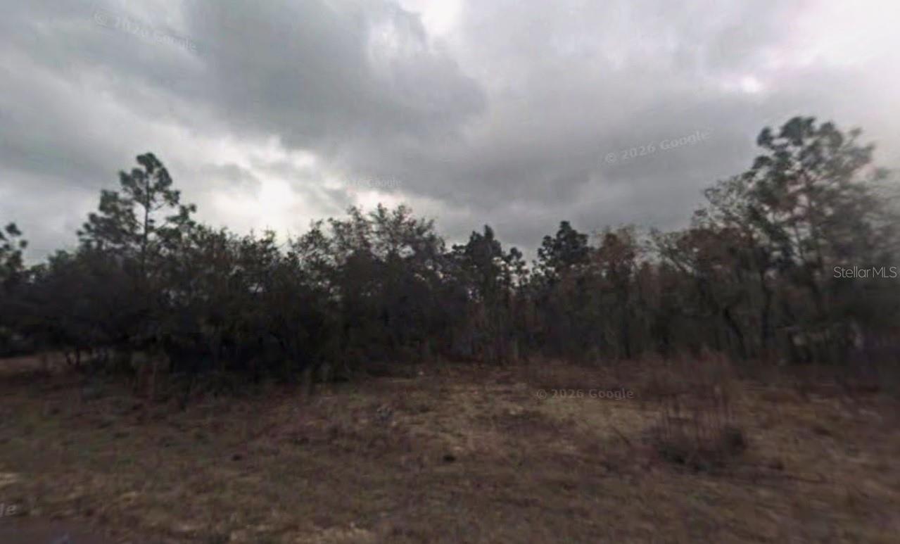 Land in CITRUS SPRINGS 3