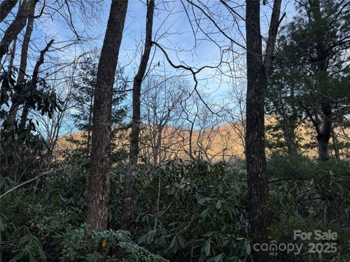 99999 Shenandoah Ter, Black Mountain, NC, 28711 | Card Image