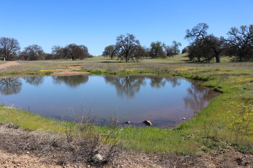 LOT 41 Del Mar Dr, Cottonwood, CA, 96022 | Card Image