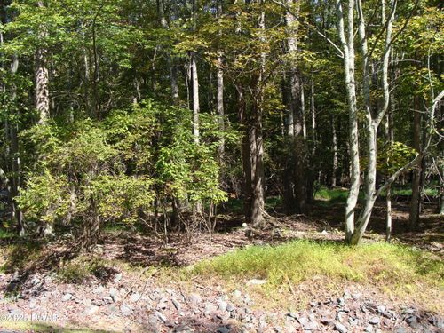 Lot 593 Tamarack Ln, Lake Ariel, PA, 18436 | Card Image