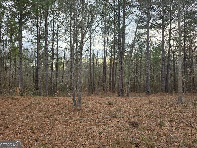 0 Willow St, Home with 0 bedrooms, 0 bathrooms and null parking in Stephens GA | Image 12