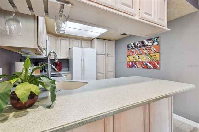UNIT-5 - 20890 Negril Ct, Condo with 2 bedrooms, 2 bathrooms and null parking in LUTZ FL | Image 18
