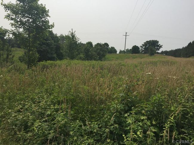 lot 30753 Bethany Church Road, Home with 0 bedrooms, 0 bathrooms and null parking in Bumpass VA | Image 1