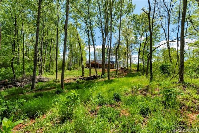 View from the lake to the log cabin | Image 5