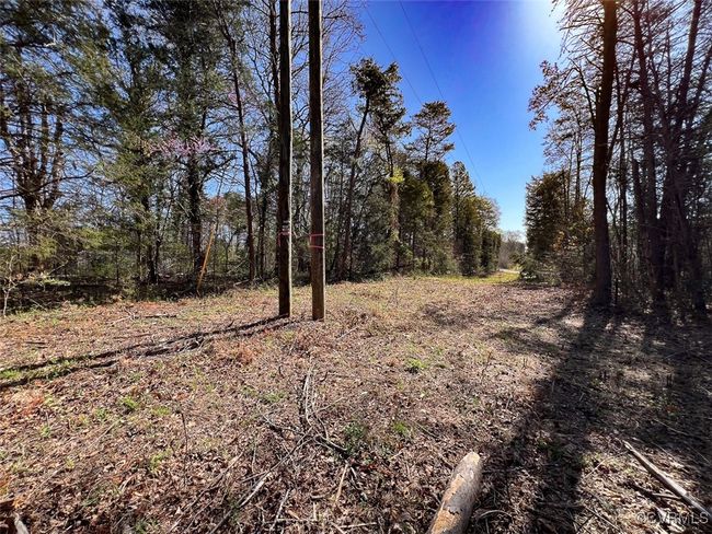 View of nature with a view of trees | Image 7