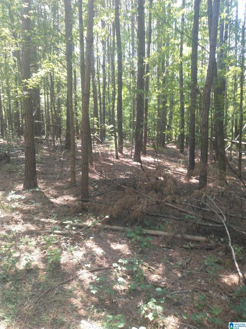 o-0020 County Road 150, WEOGUFKA, AL, 35183 | Card Image