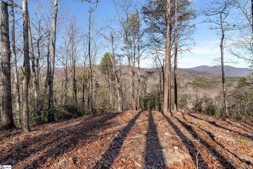 198 Wood Violet Trl, Marietta, SC, 29661-5182 | Card Image