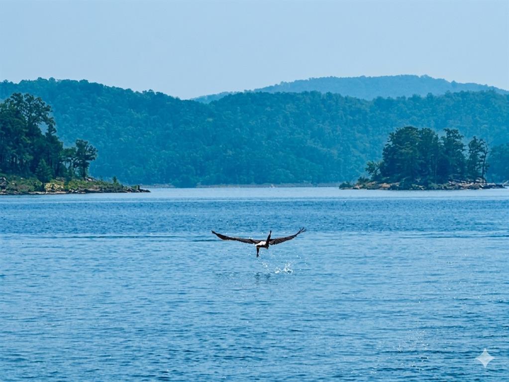 Land in Broken Bow 5